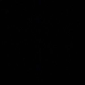 Meet your Posher, Cole